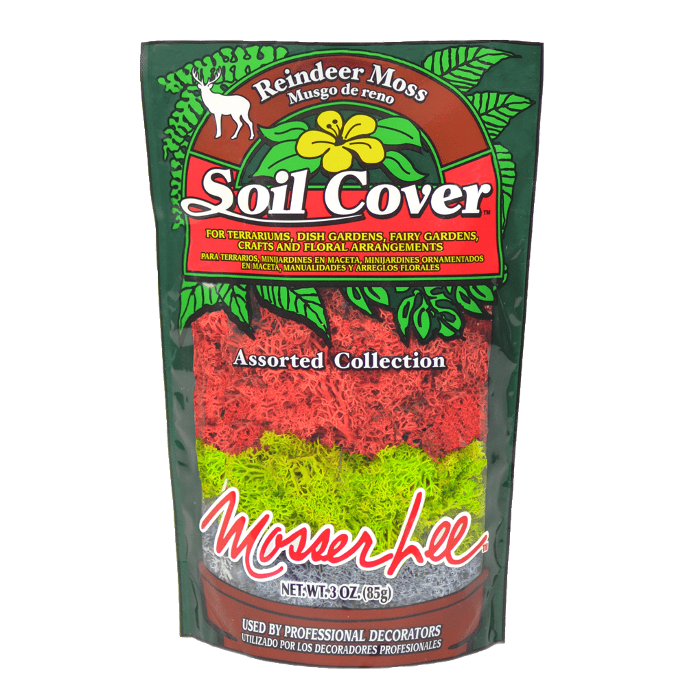 Bag of Mosser Lee Assorted Reindeer Moss