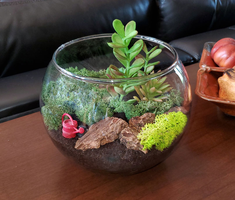 Finished terrarium with reindeer moss