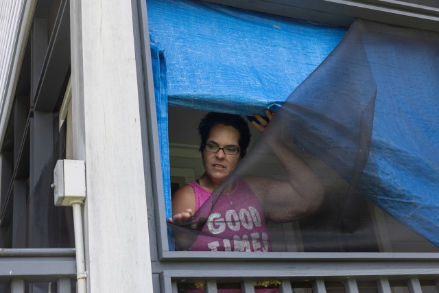 A woman looks out of a window screen that has been damaged by a storm.