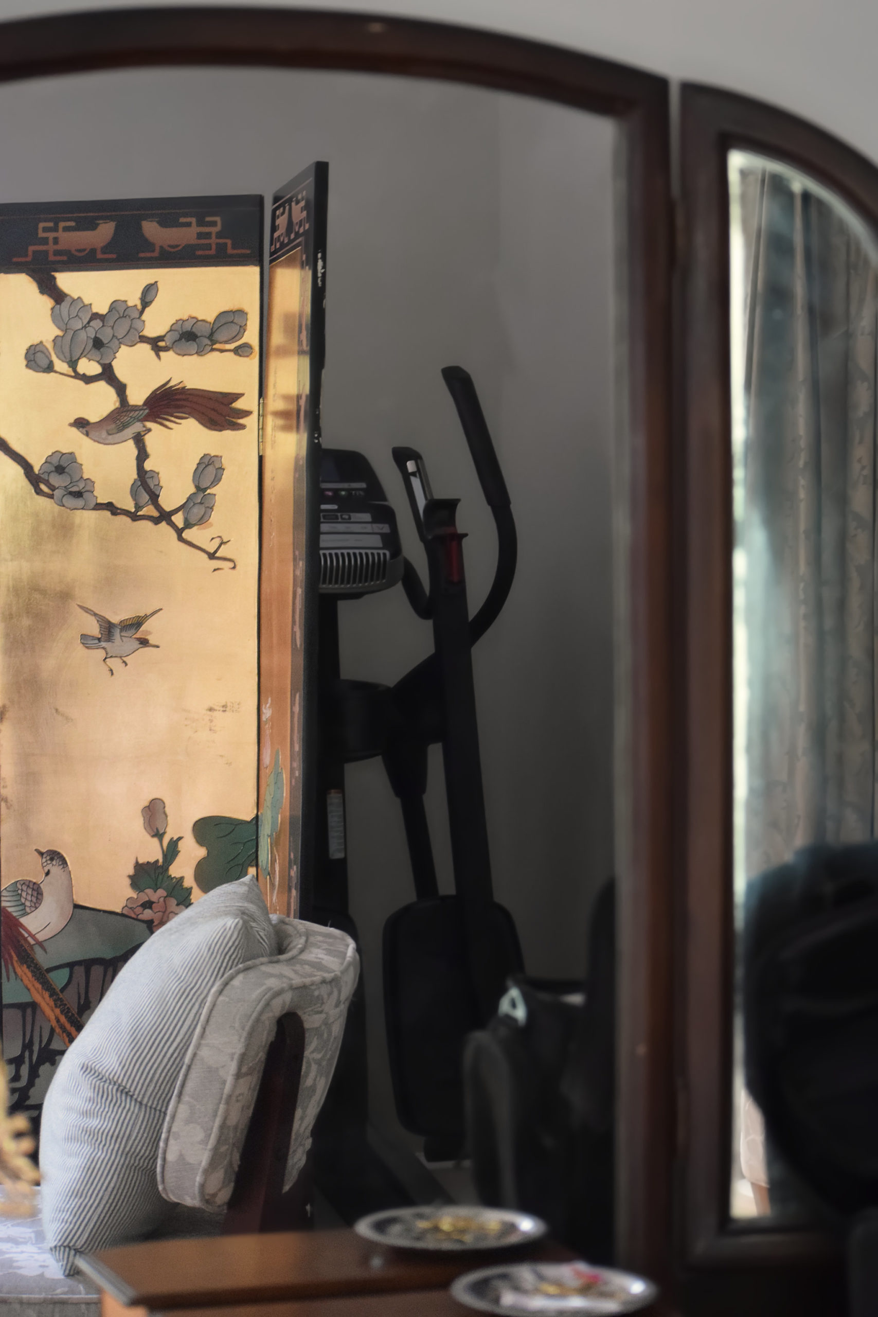 reflection showing elliptical hidden behind chinoiserie screen