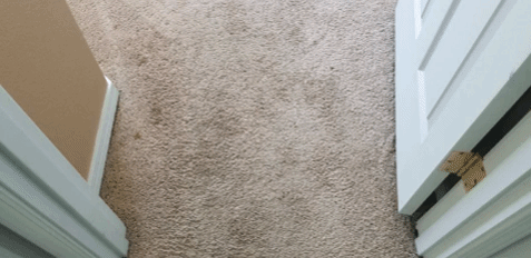 Mechanical Mountain View Carpet Cleaning Painting