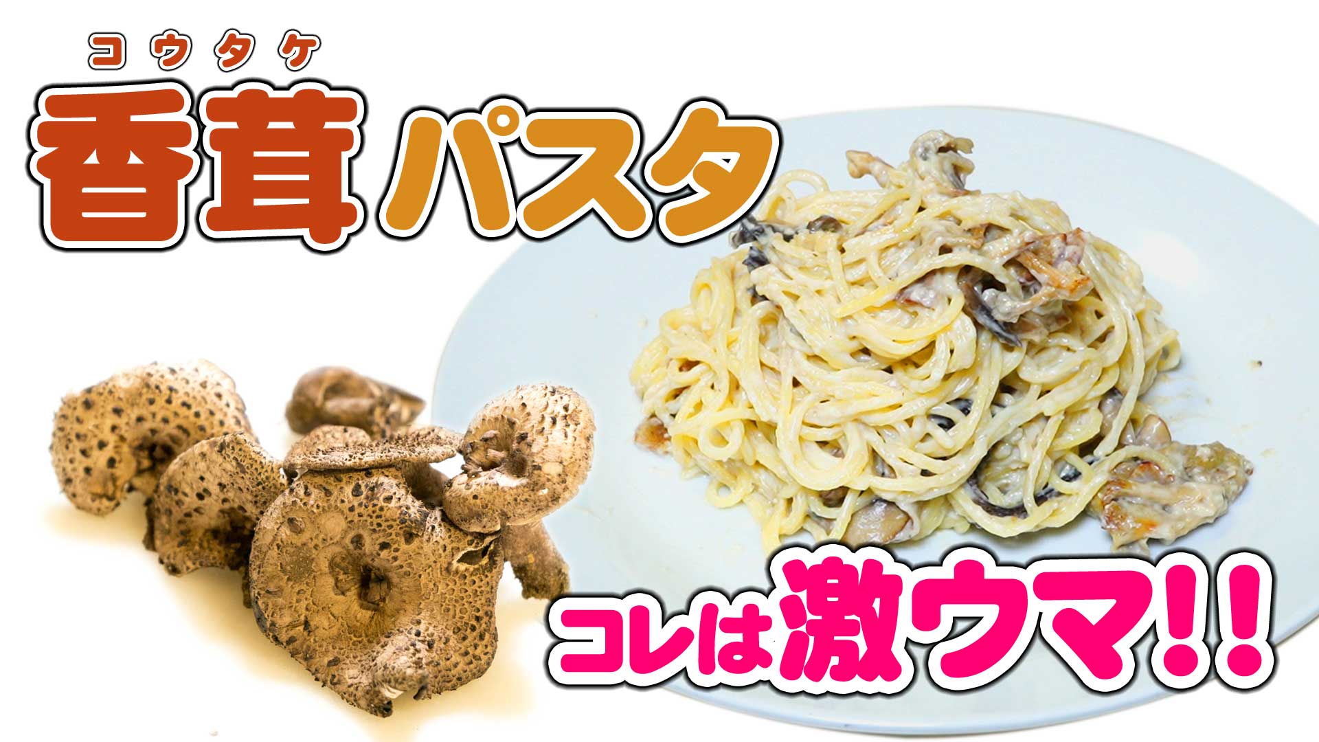 乾燥香茸専用ページ 乾燥香茸 天然｜napnap公式ショップ