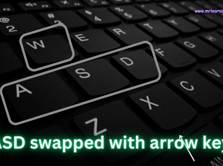 WASD swapped with arrow keys