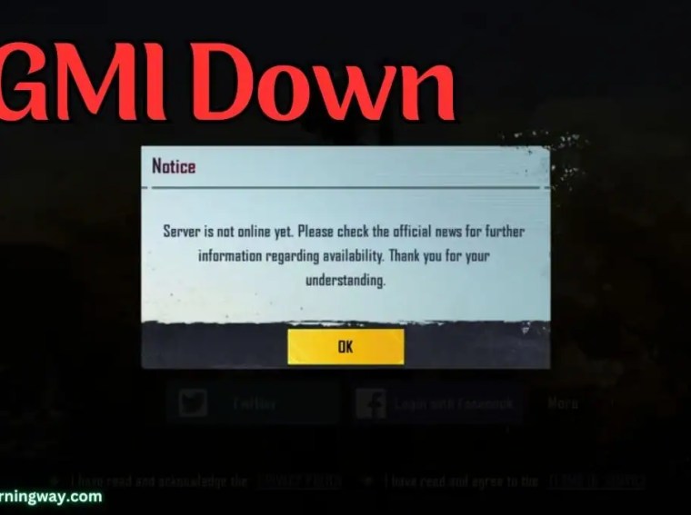 bgmi server down today when will start