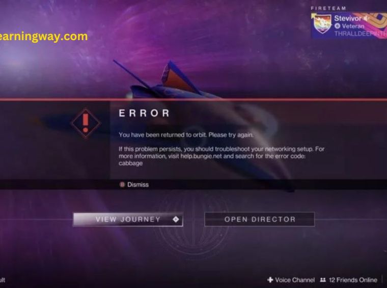 cabbage error destiny 2
