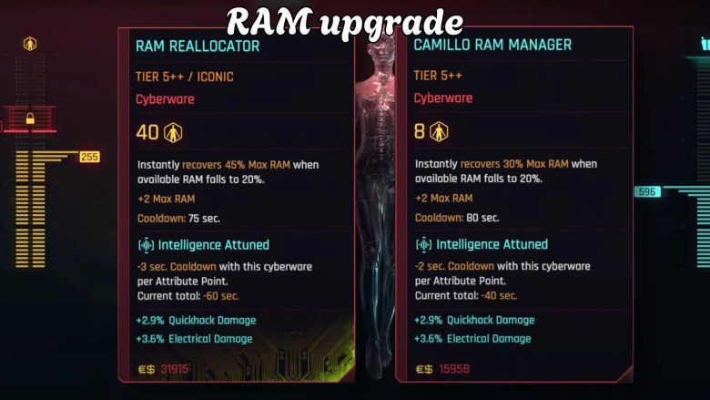 Cyberpunk Netrunner RAM upgrade