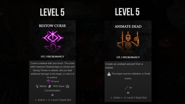 level 5 rang