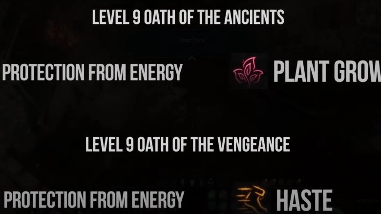level 9 oath paladin bg3