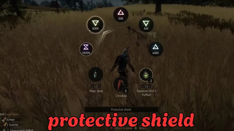protective shield