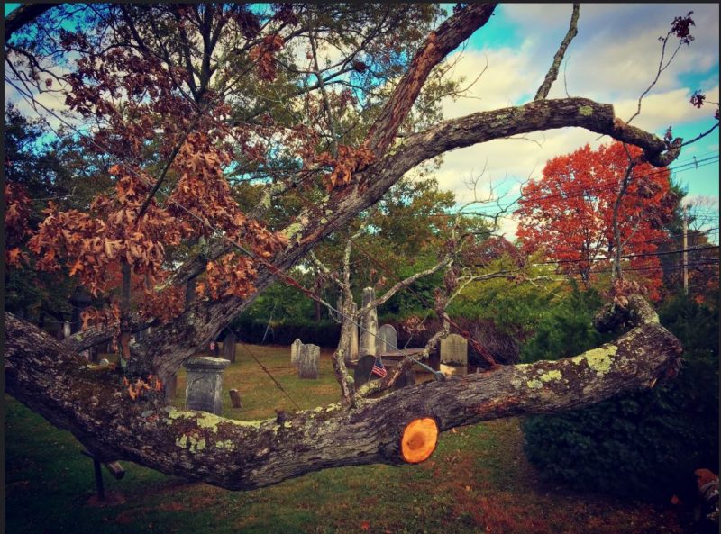 Basking Ridge Oak Tree Community Photo Album Mr. Local History Project