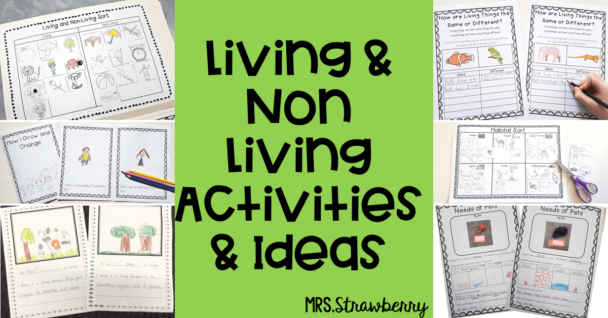 living and non living activities and lesson ideas mrs strawberry