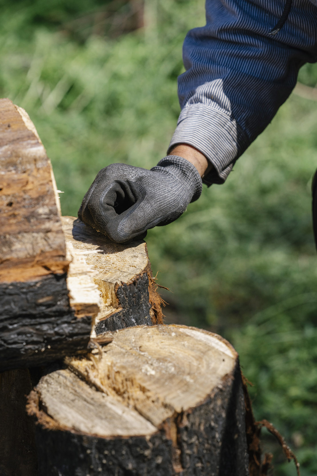 Karl Kaiyala, of Briar, Wash., (center) a Team Rubicon Advanced Sawyer 1 and retired UW professor, rests his hand on a fresh stump after cutting down a tree while working on a fire mitigation project in Zintel Canyon in Kennewick, Washington, USA, on Wed., May 1, 2024. The goal of the project is to reduce the potential "fire load" of the area by removing burnable materials. A crew of about 30 people has been working to remove burnable materials, including standing trees and brush, organized by the Team Rubicon disaster response volunteer organization.