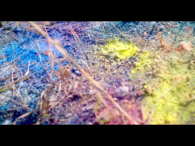 米津玄師】「Flowerwall」 | ミュージックタイプ（musictype）