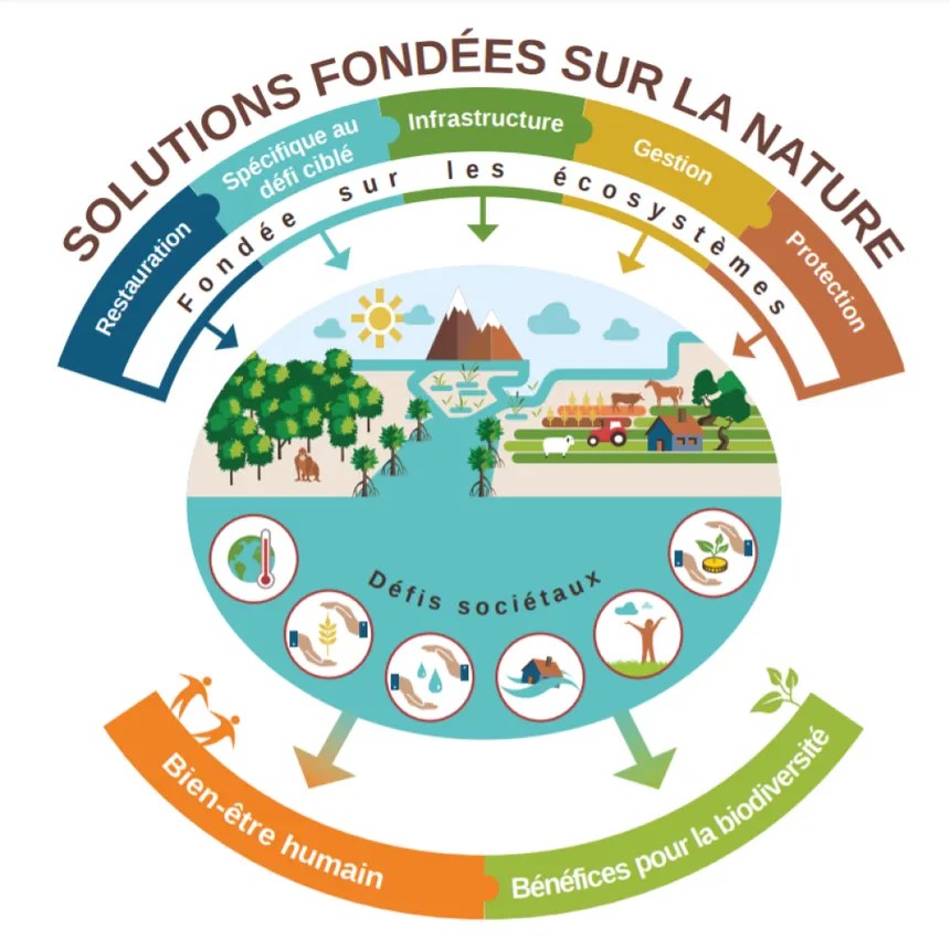 https://uicn.fr/solutions-fondees-sur-la-nature/