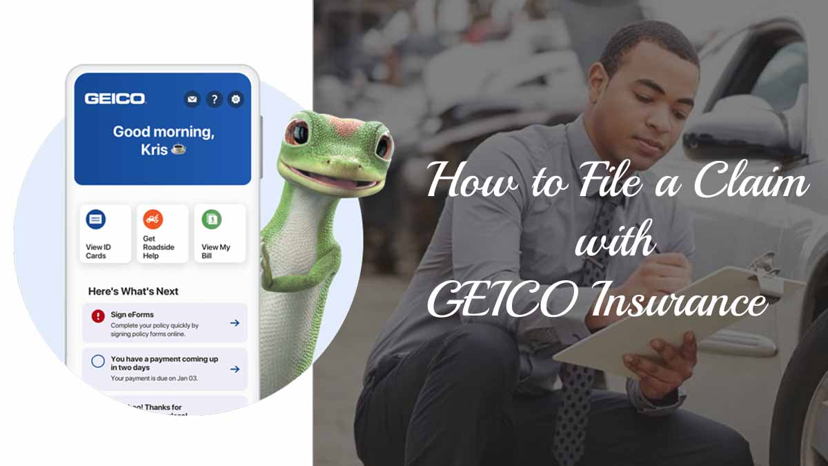 How to File a Claim with GEICO Insurance GEICO Claims Mstwotoes