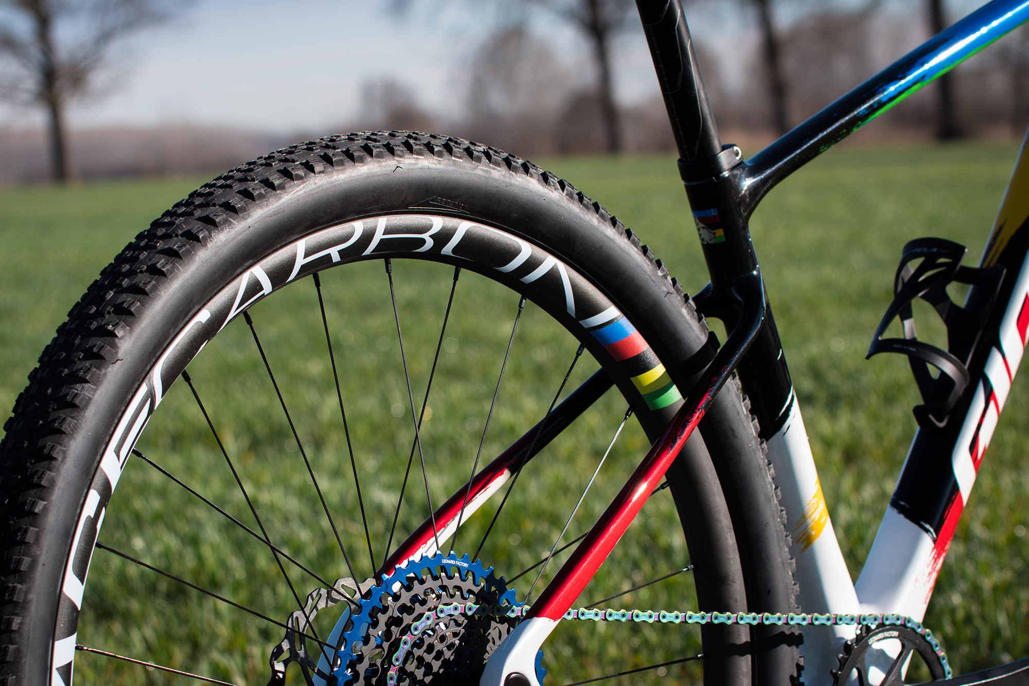 GIANT: ecco i modelli progettati per Leonardo Páez, oro al mondale XCM 2019  | MTB Workshop
