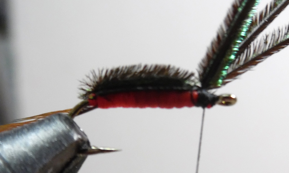 How To Tie Crackleback Flys Guides Its a must-have in any fly box be it warm or cold water. How To Tie Crackleback Flys Guides Uni-Thread 60 in color of choice.