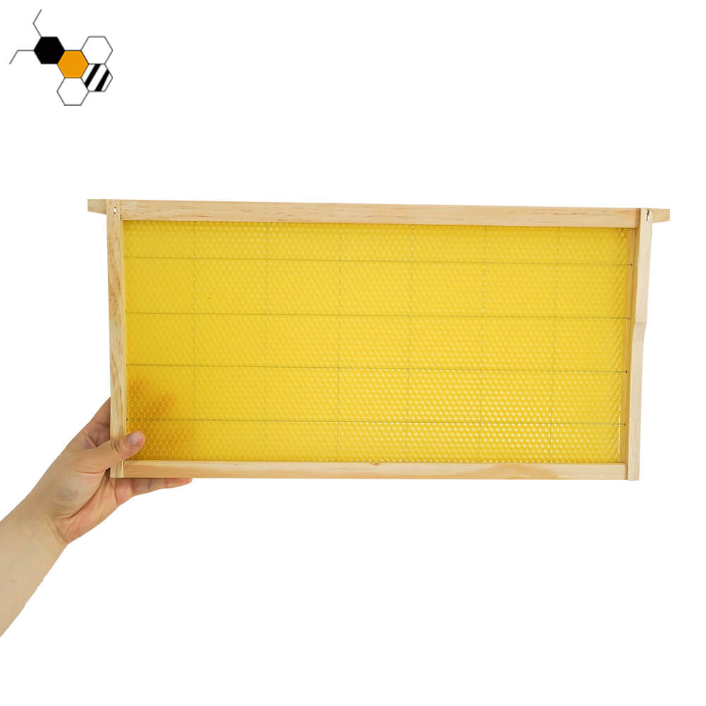Plastic Bee Frames | MULTI-SWEET GROUP
