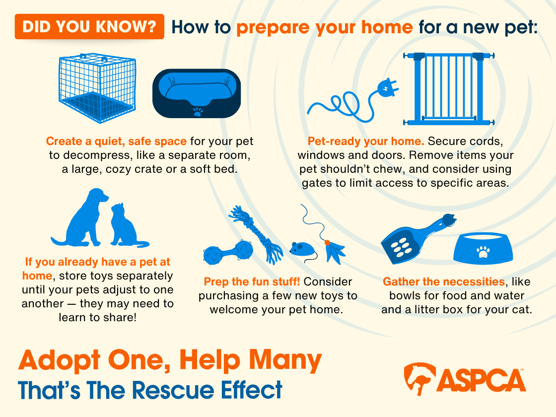 Ask questions and lean on the staff at the shelter for guidance—they're experts at making matches and can typically provide information to help you decide whether or not the animal you’re interested in is a match for your lifestyle. (credit - ASPCA®) Ask questions and lean on the staff at the shelter for guidance—they're experts at making matches and can typically provide information to help you decide whether or not the animal you’re interested in is a match for your lifestyle. (credit - ASPCA®)