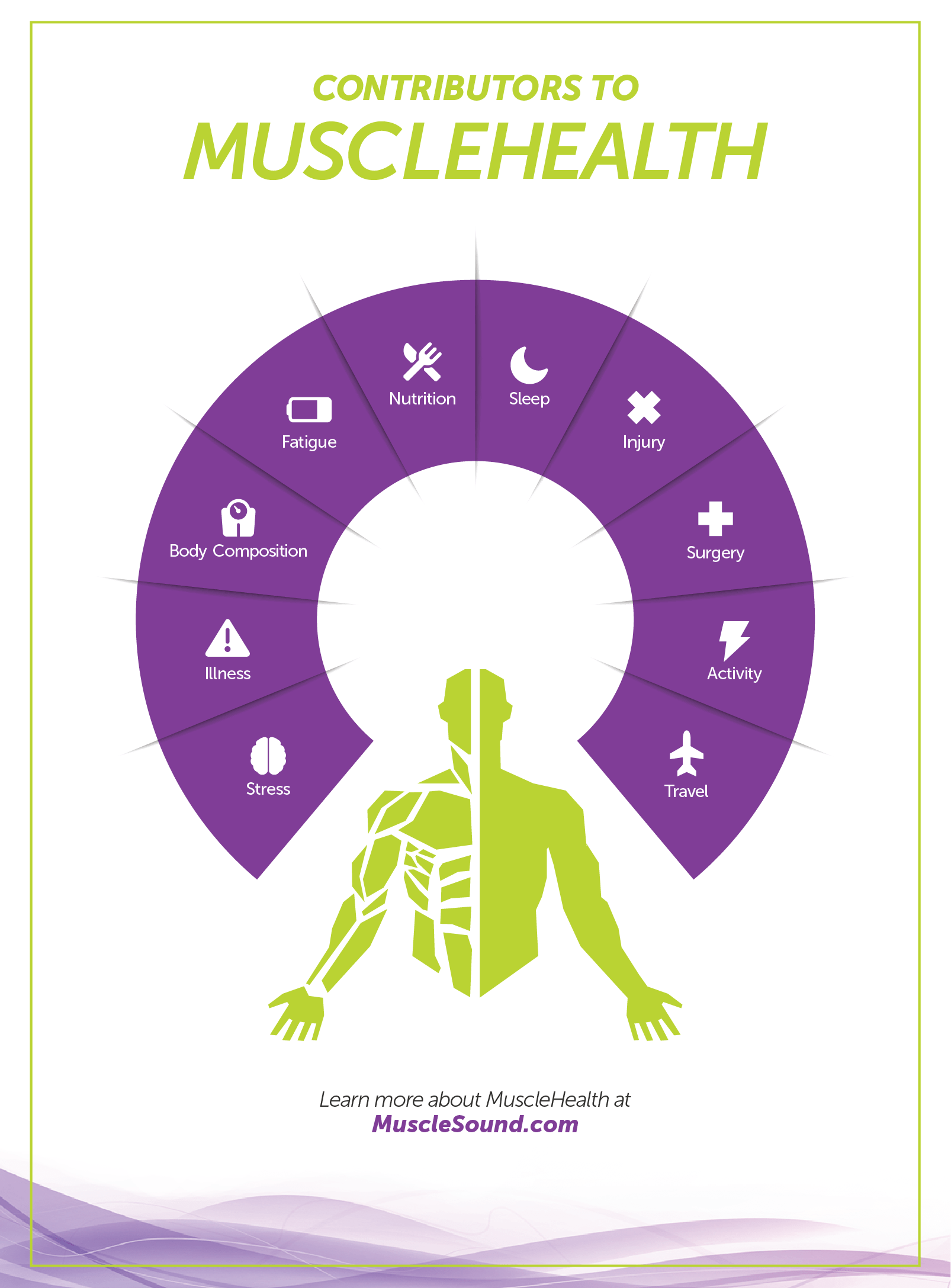 Protein and Muscle Health: Preventing Sarcopenia and Weight Gain After 50 Causes and Physiological Decline