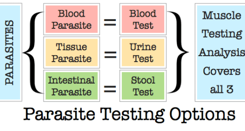 testing-options