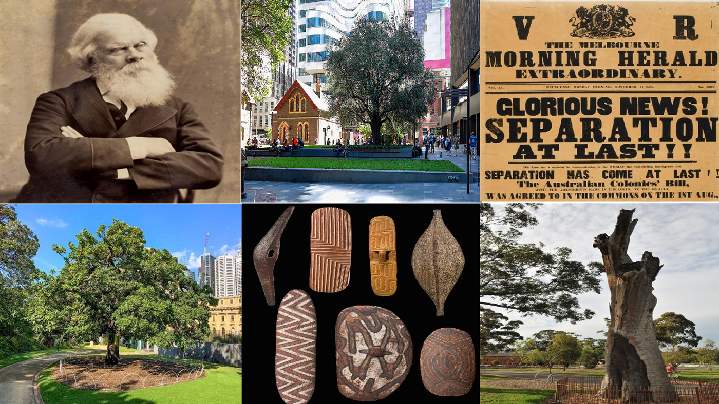 Melbourne’s Significant Trees