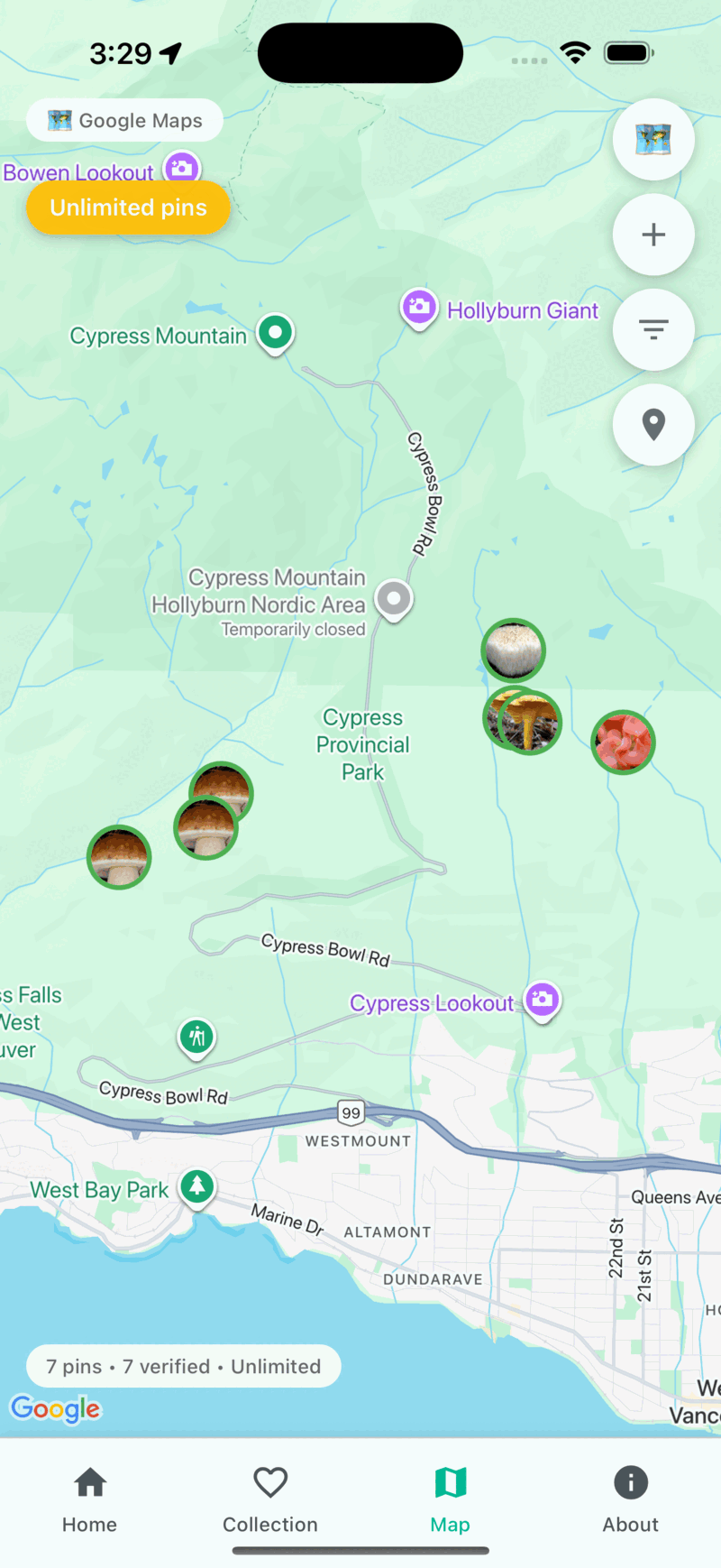 Offline Foraging Map Wild Mushroom Marketplace 2026 Mushroom Tracker Map Screen 