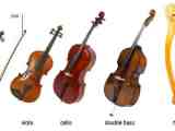 String Instruments List Deals Discounted Ids Deutschland De