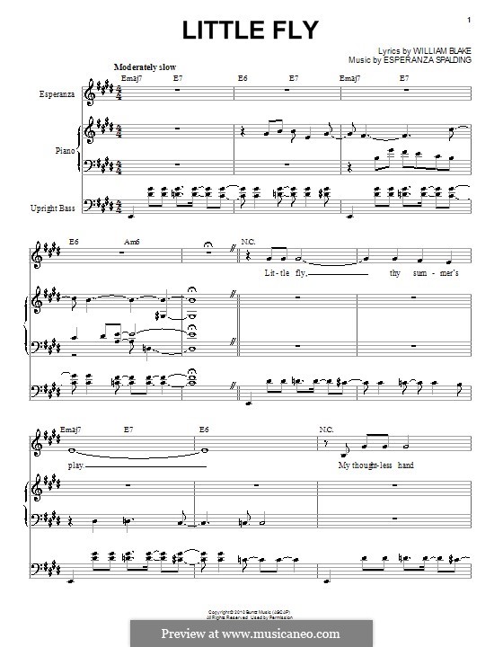 Little Fly Esperanza Spalding W Blake Sheet Music On Musicaneo 