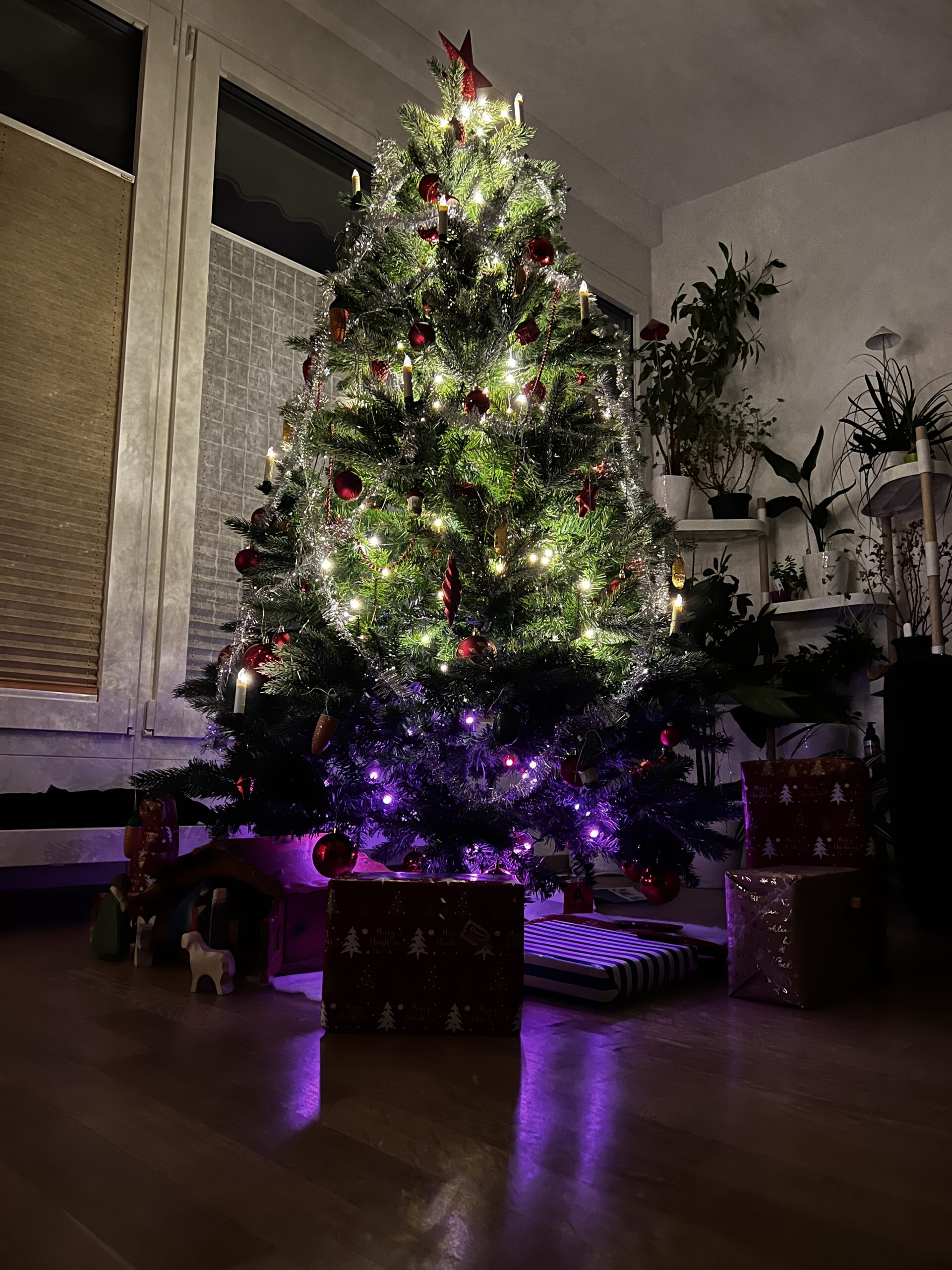 Weihnachtsbaum (Isabelle&Jens)