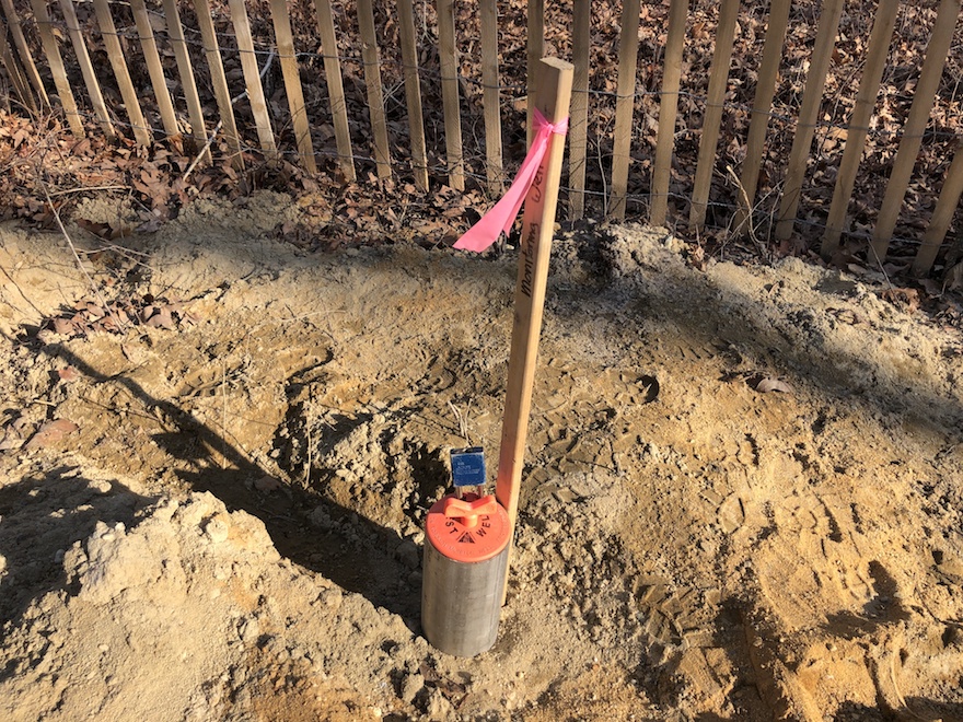 Image from iOS (110)