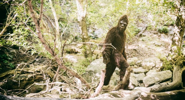 Bigfoot