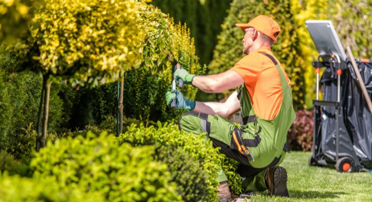 Landscaping