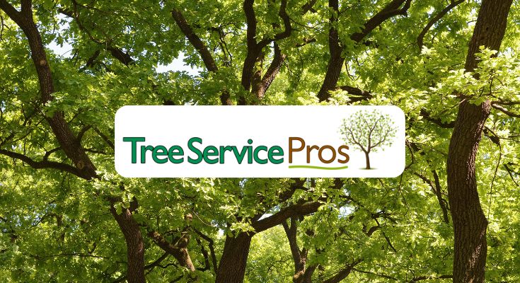 Tree Service Pros