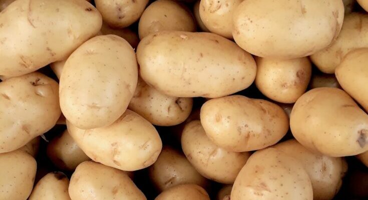 Potatoes