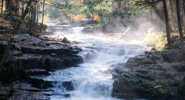 Photo Credit: Andrew Summers, Promised Land State Park, PPFF Photo Contest Submission