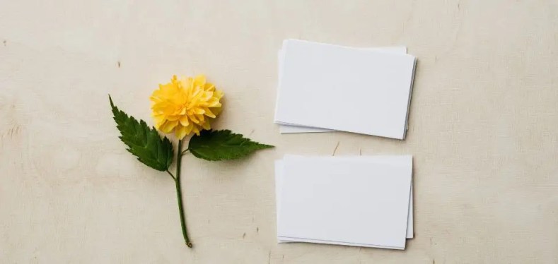 Comment créer une carte de visite efficace ? MyDigitalex