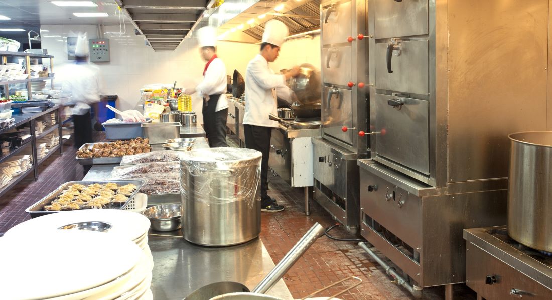Commercial kitchens require regular maintenance and sanitation to avoid costly pest problems