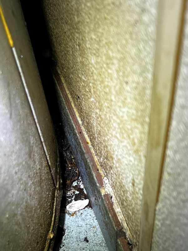 Even behind appliances and equipment must be regularly cleaned when fruit flies are present