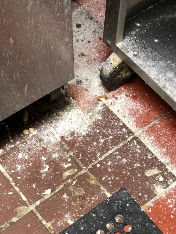 Commercial kitchen floors should be kept clean to reduce pest populations including fruit flies