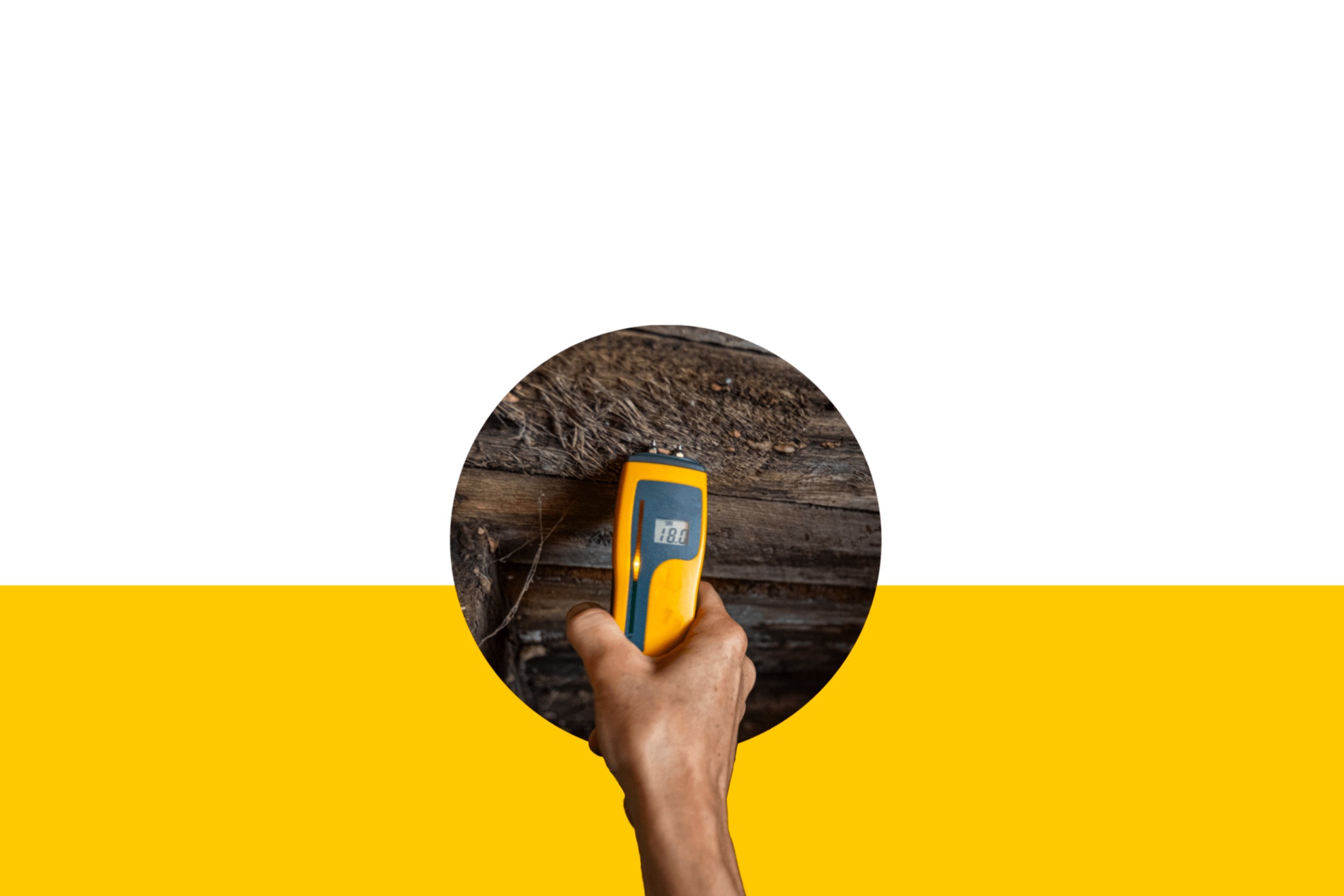Four Seasons Pest Solutions provides Somerset, KY Moisture Control Services