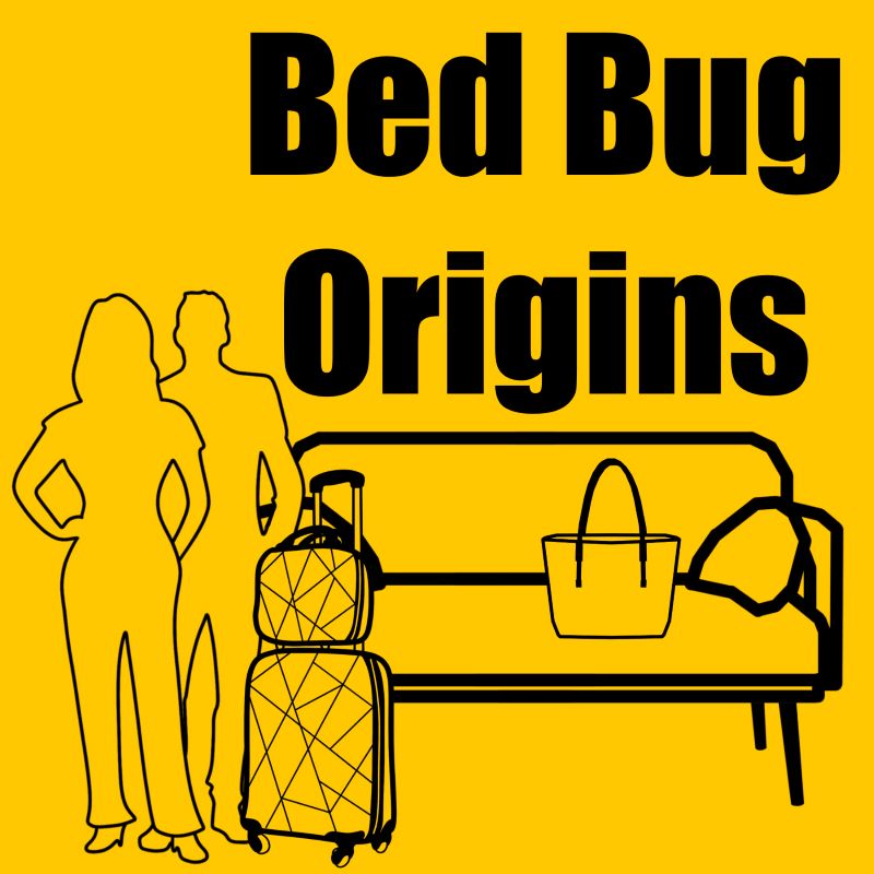 Bed bugs are a hitchhiking pest and travel on various personal belongings which humans transport.