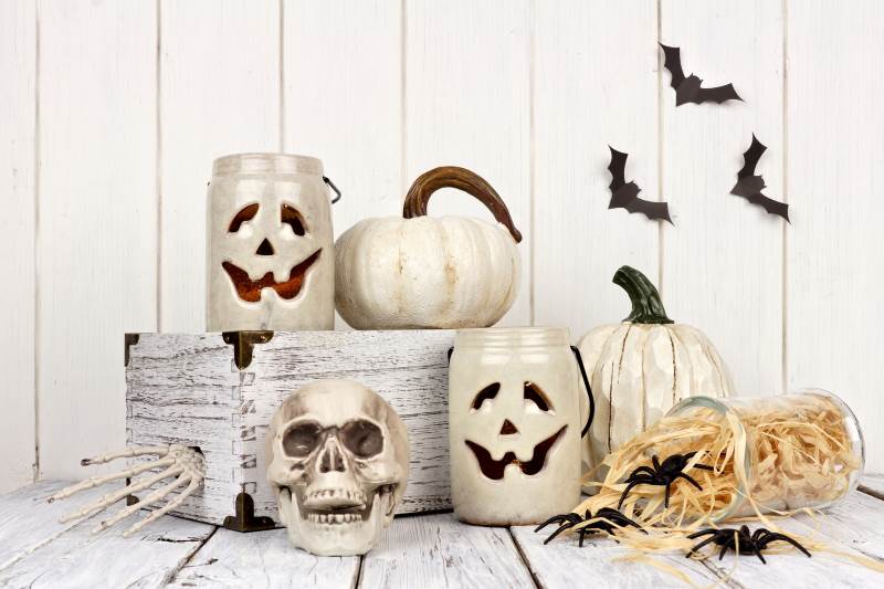 There are several tips to avoid pests in Halloween decor. Making sure to inspect items before bringing them into the home is a great place to start.