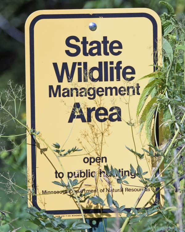 Most state and federal agencies realize the need for proper wildlife management, including habitats dedicated to preservation, but also to hunting efforts to cull populations.