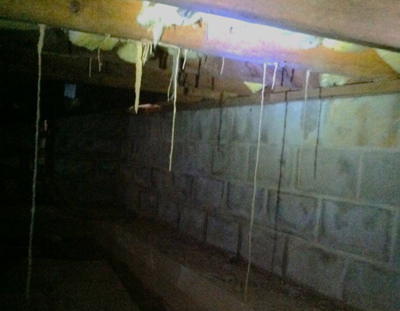 Drop tubes help termites quickly move from food sources to the colony without taking the longer, original route they used to begin with. Essentially, they are shortcuts.