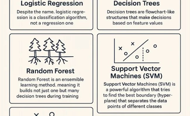 Classification Algorithm In Machine Learning - Types & Examples