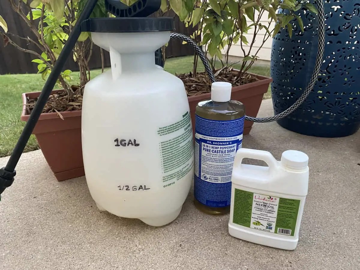 The Ultimate Guide to Understanding the Effects of Vinegar on Crepe