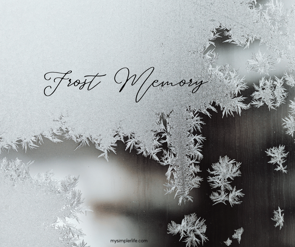 Frost Memory
