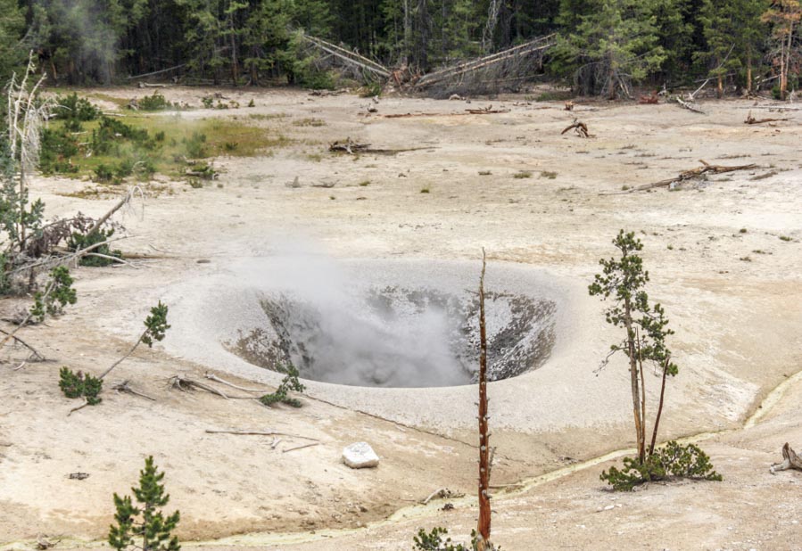 Mud Volcano Yellowstone national park