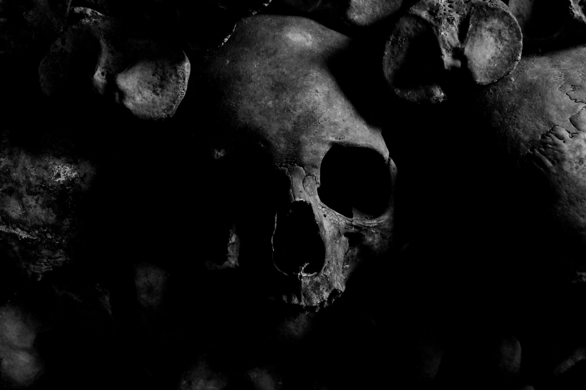 close up photo of black hat seo skull